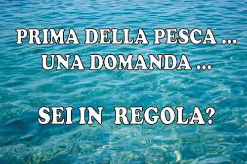 corsi online