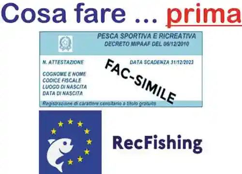 corsi online